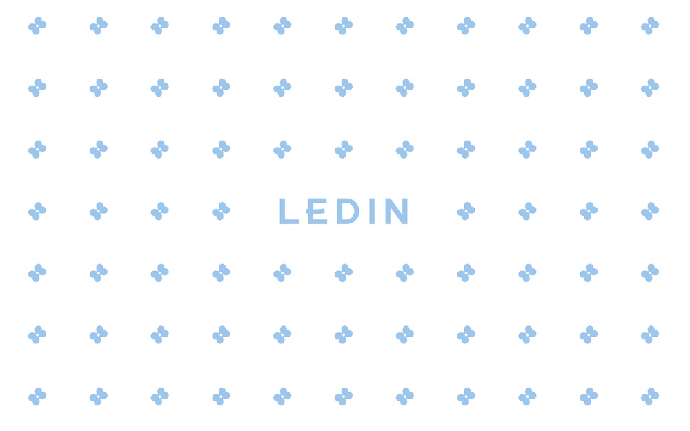 LEDIN15 周年 VI 焕新升级，重塑品牌新纪元