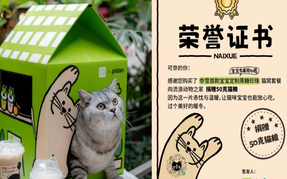 奈雪的茶联合宠物品牌 Pidan，推出奈雪首款公益猫窝爱宠周边