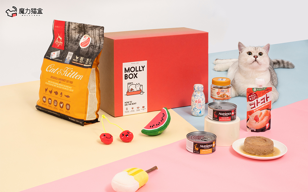 MollyBox魔力猫盒：补偿性消费是机遇，但不能把它作为常态