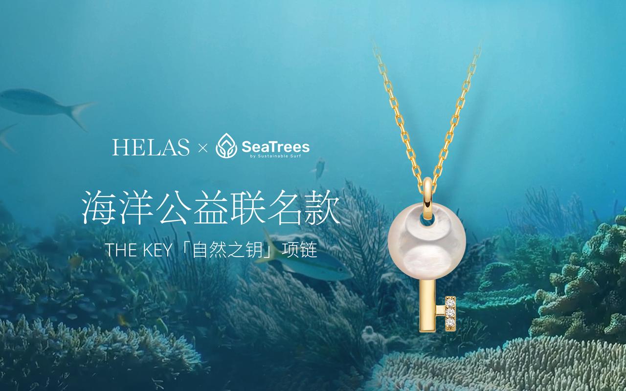 「海底花园守护者」，HELAS 首个公益项目