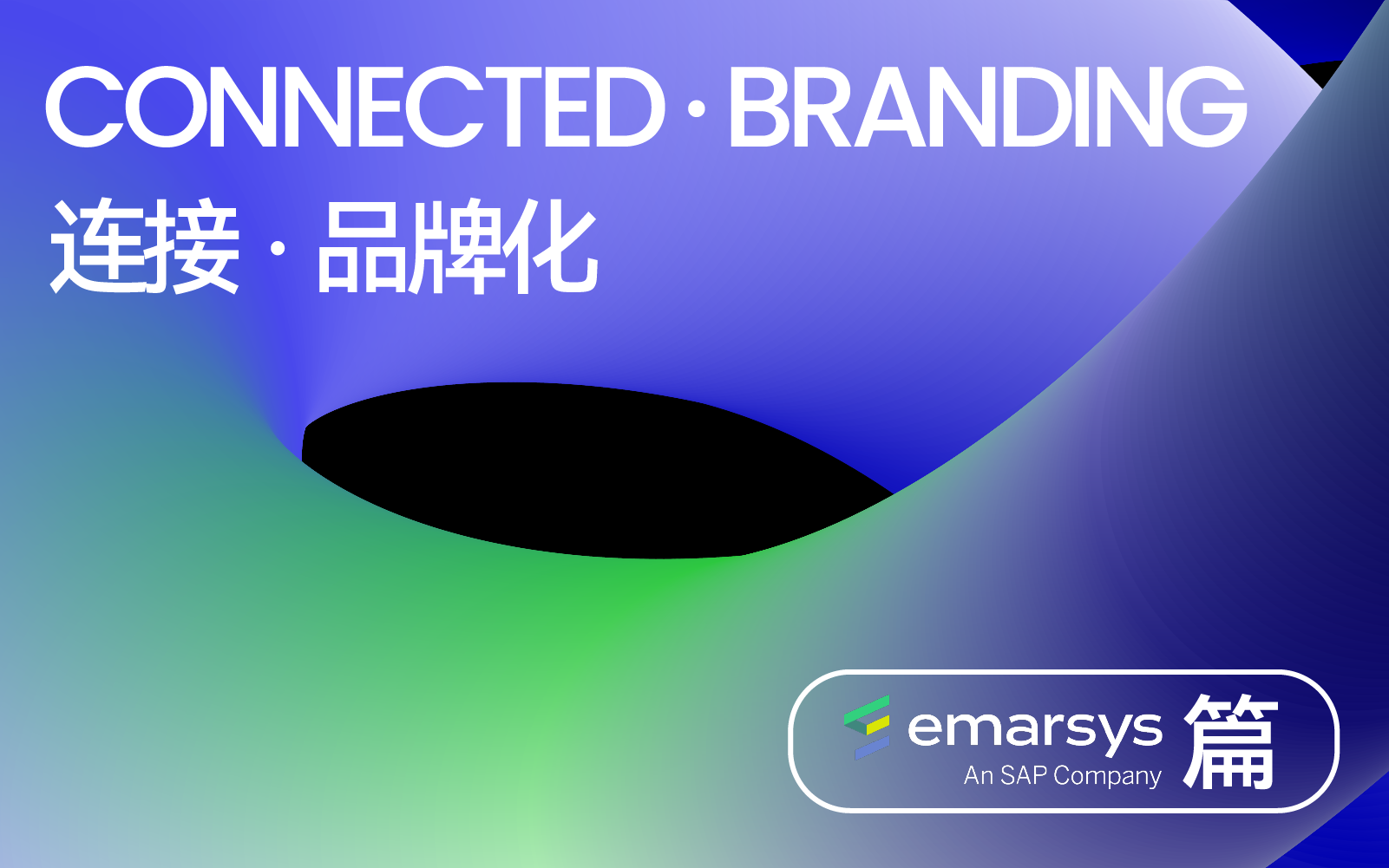 Emarsys：跨越壁垒，实现全球化营销领域的创新与协同｜DTC大会 2024