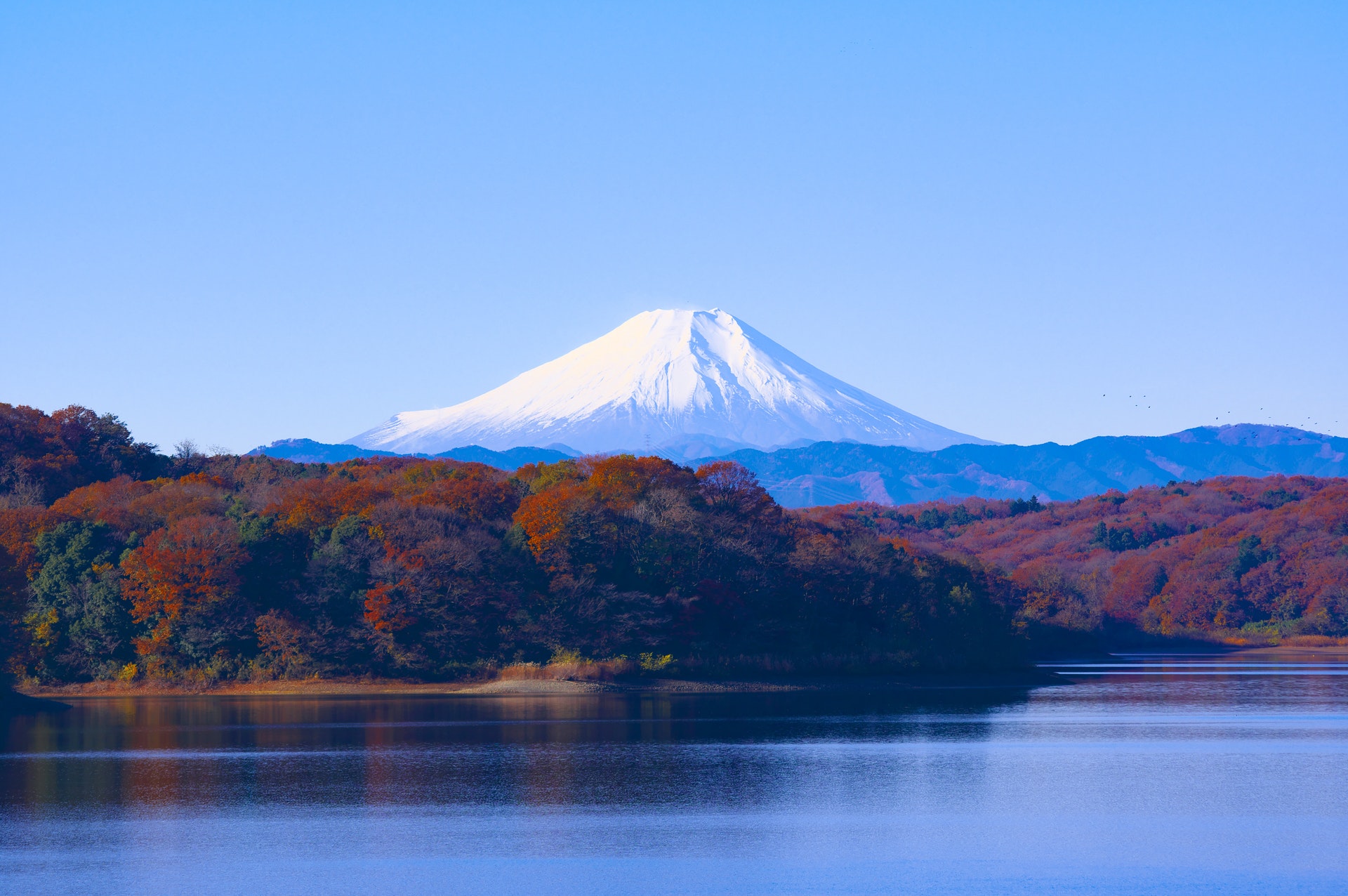 日本国家旅游局宣传片：传统与未来相交融