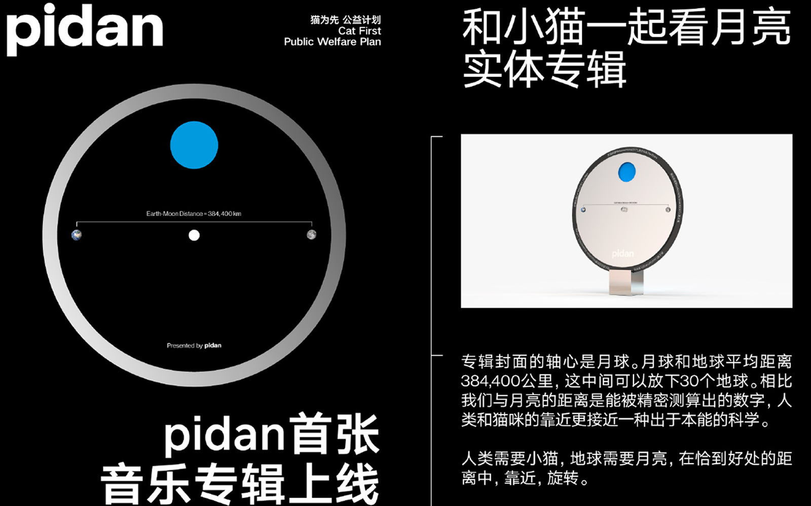 pidan 发布首张音乐专辑《和小猫一起看月亮》