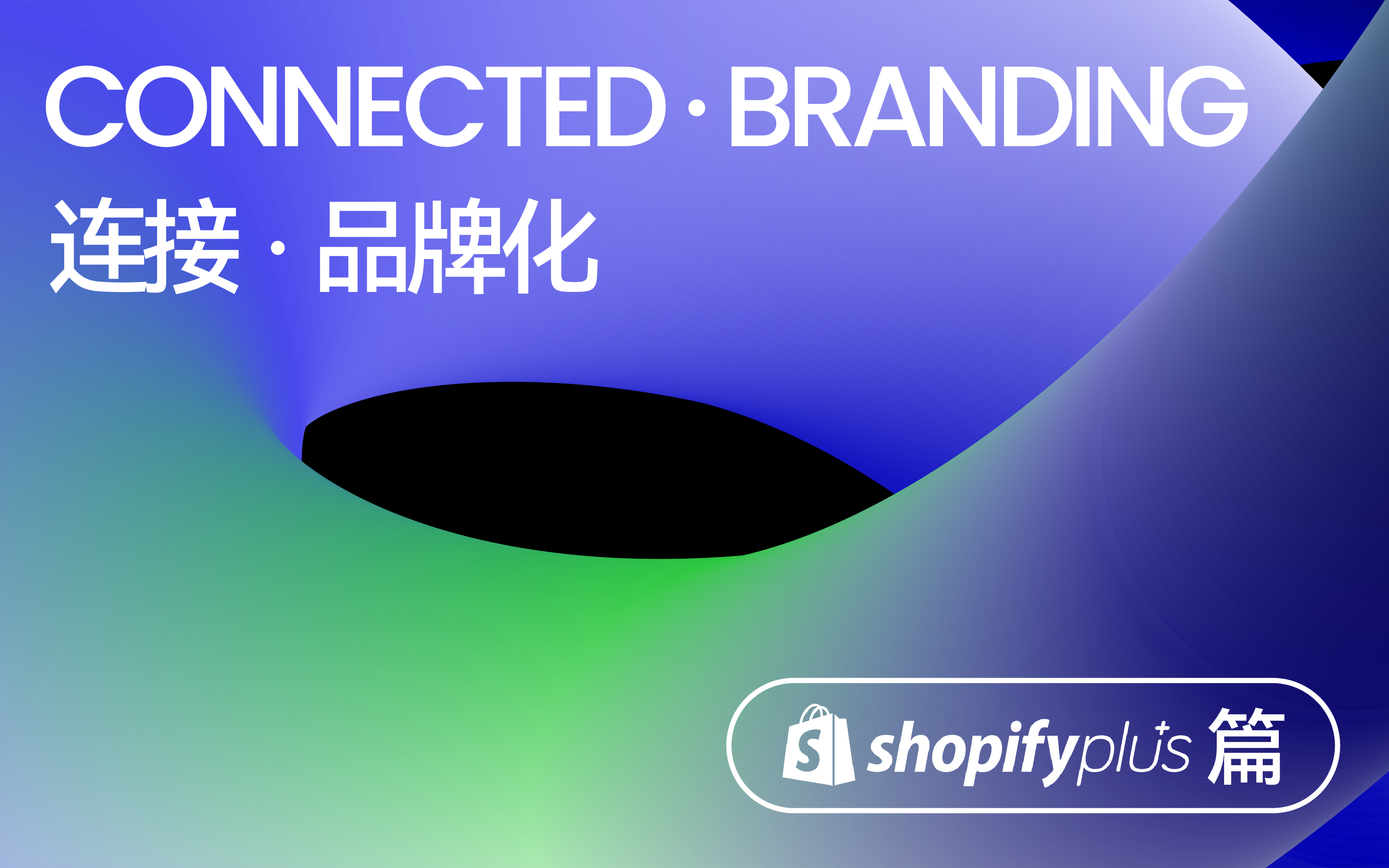 Shopify：回归本质，构建品牌全球化基石｜DTC大会 2024 分享回顾