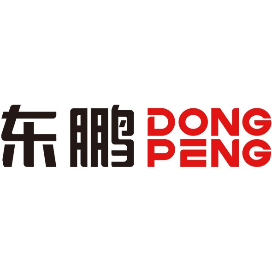 东鹏控股